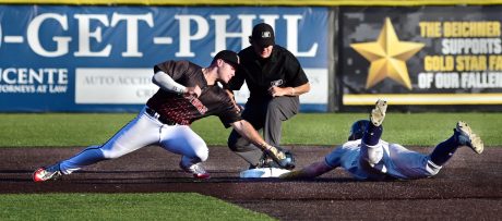 article image - 20240912_spt_wildthings_03